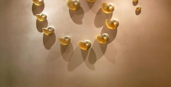 The Park Chennai Hotel Exterior photo Detail of the Golden Snail